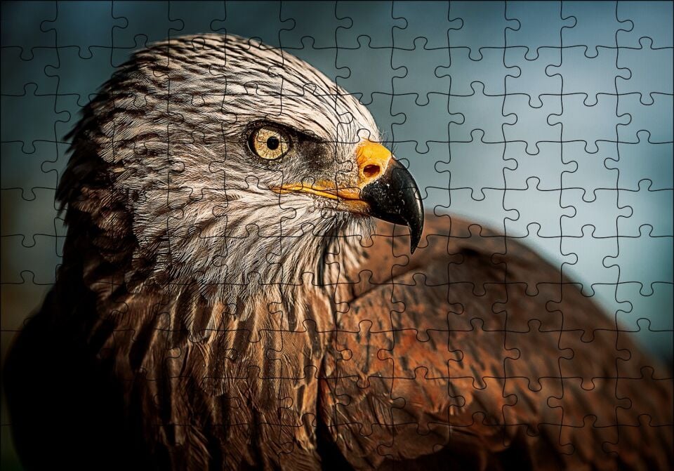 Kahverengi Doğan Kuşu Puzzle Yapboz MDF Ahşap 120 Parça 24 cm X 34 cm