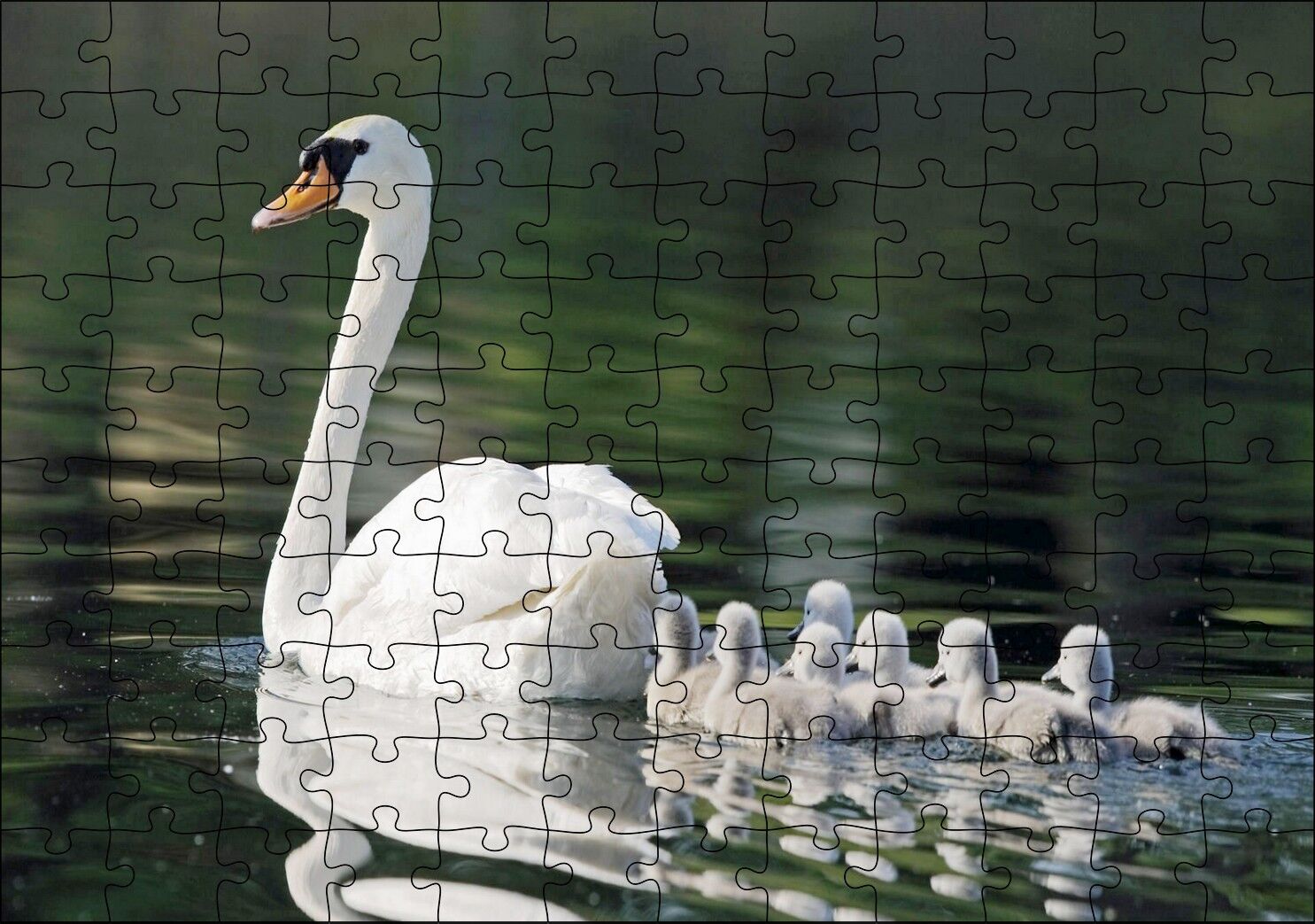 Gölde Yüzen Beyaz Kuğu ve Arkasında Yavruları Puzzle Yapboz MDF Ahşap 120 Parça 24 cm X 34 cm