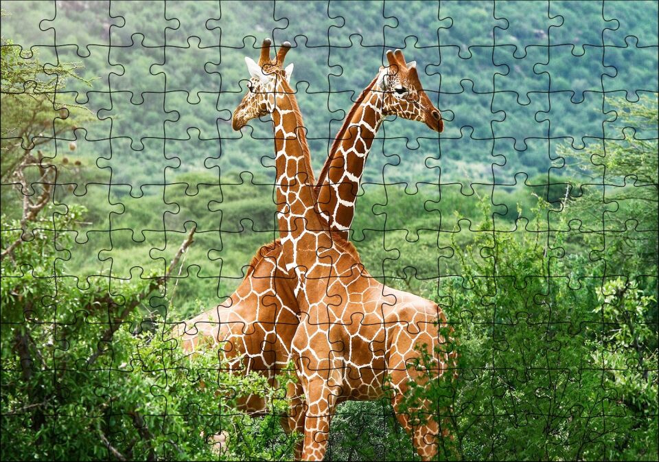 Ormanda Zürafa Çifti Puzzle Yapboz MDF Ahşap