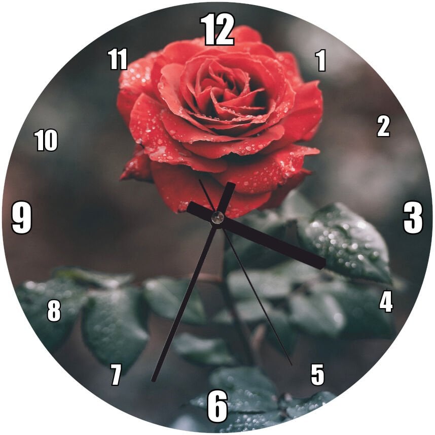 Kırmızı Gül ve Yapraklarında Damlalar Mdf Ahşap Duvar Saati 30 cm Çap
