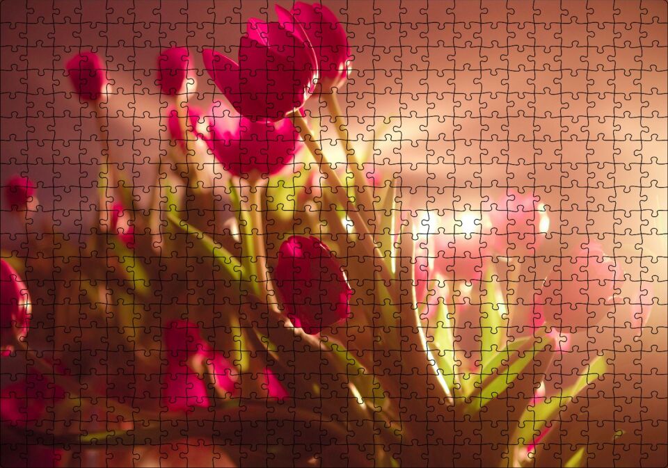 Kırmızı Laleler ve Güneş Işıkları Puzzle Yapboz MDF Ahşap 500 Parça 49 cm X 68 cm