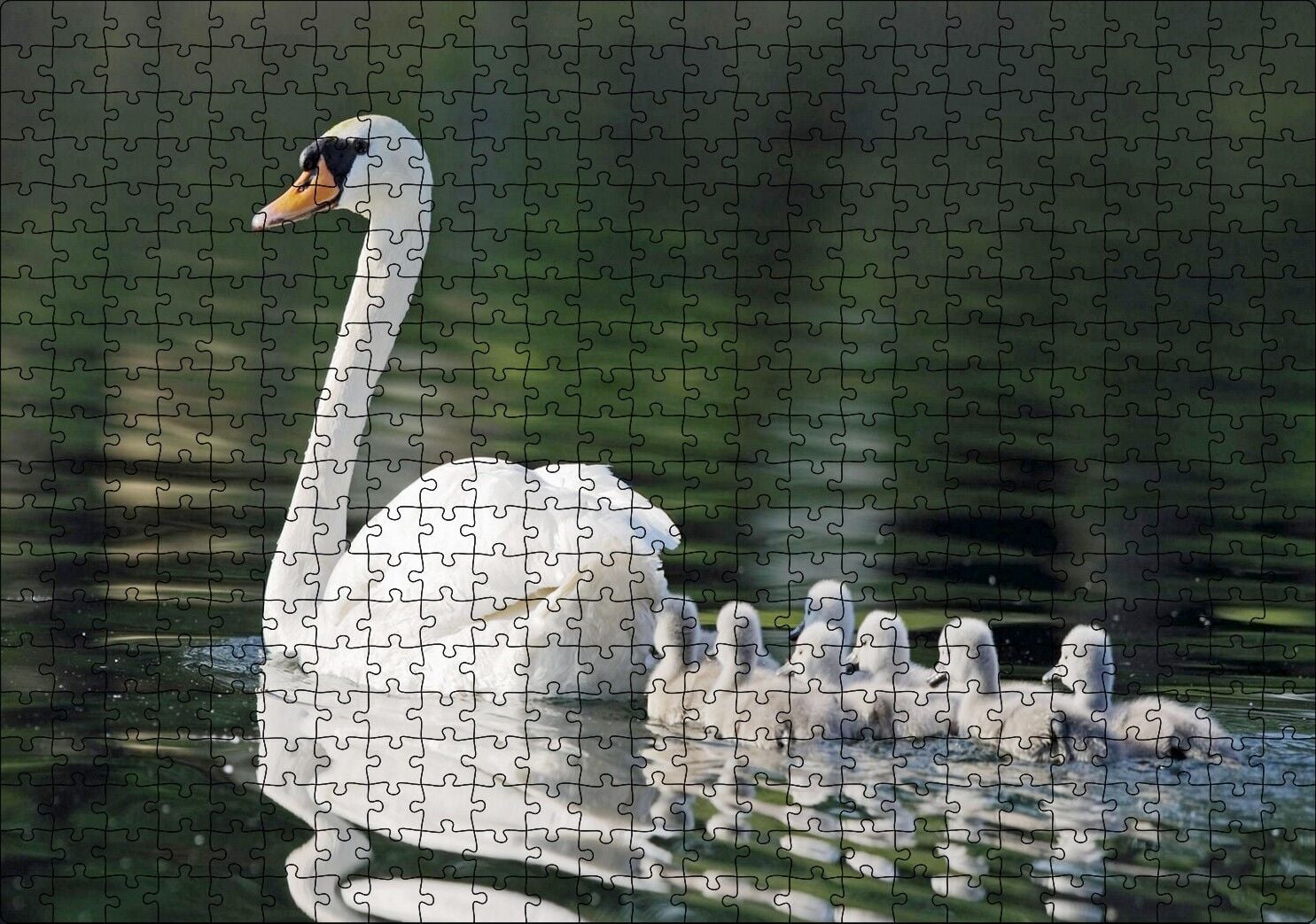Gölde Yüzen Beyaz Kuğu ve Arkasında Yavruları Puzzle Yapboz MDF Ahşap 500 Parça 49 cm X 68 cm