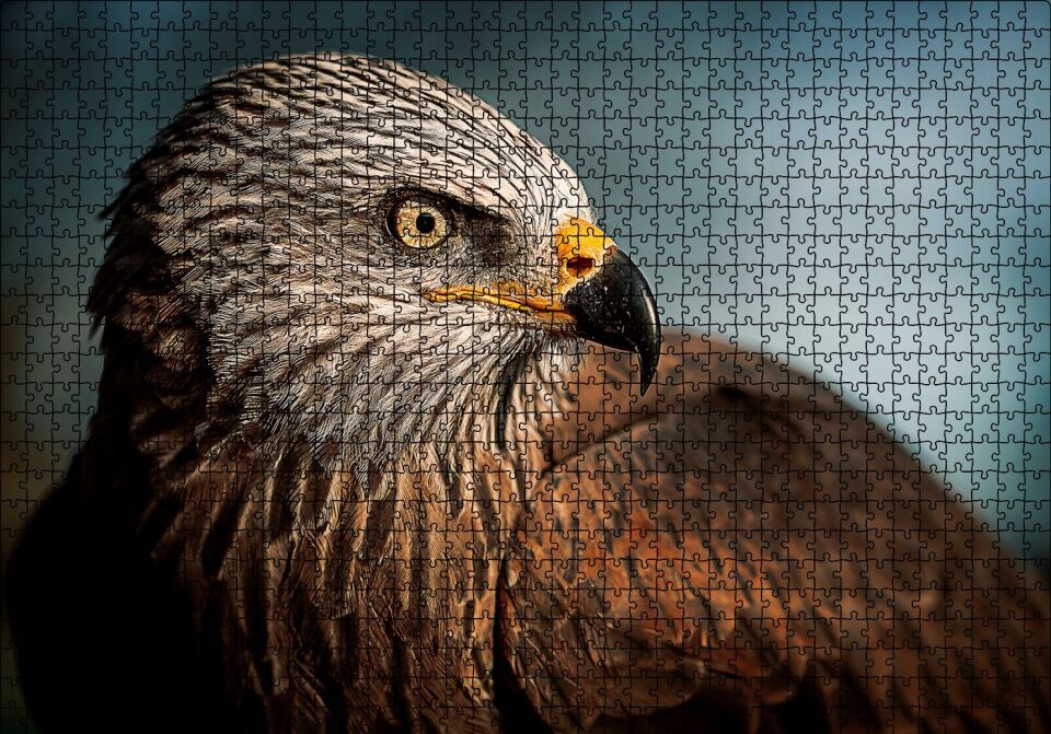 Kahverengi Doğan Kuşu Puzzle Yapboz MDF Ahşap 1000 Parça 49 cm X 68 cm