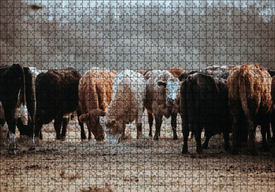Otlayan Büyükbaş Hayvanlar Puzzle Yapboz MDF Ahşap 1000 Parça 49 cm X 68 cm