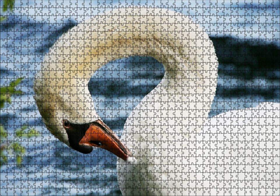 Zarif Beyaz Kuğu Yakın Plan Puzzle Yapboz MDF Ahşap 1000 Parça 49 cm X 68 cm