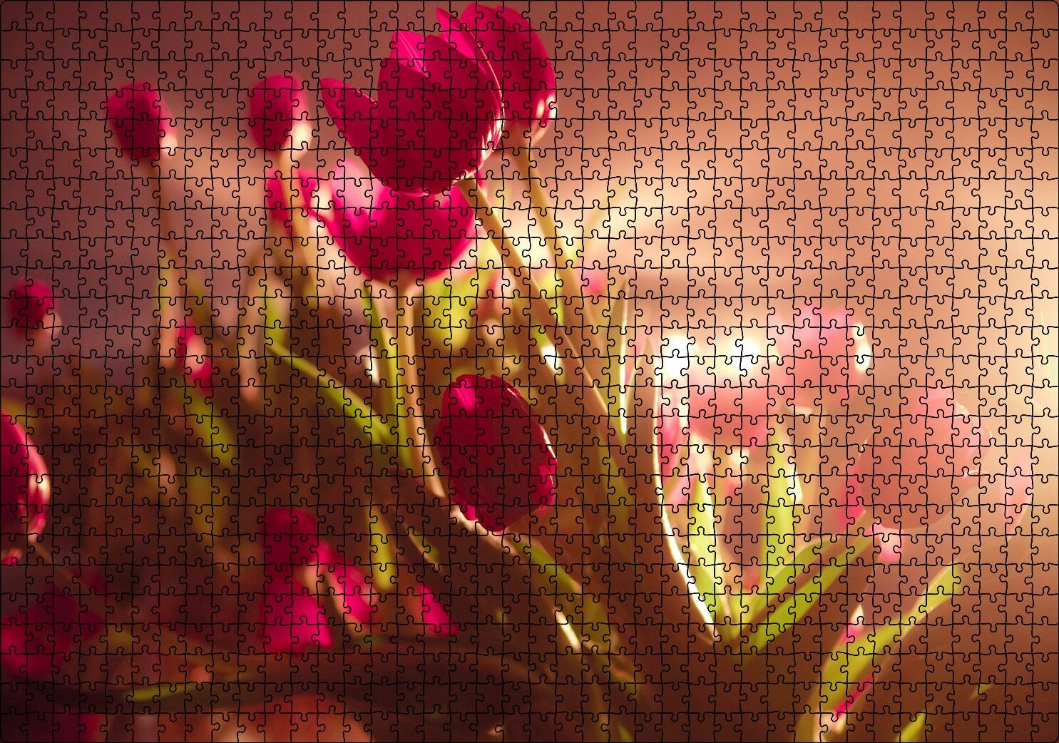Kırmızı Laleler ve Güneş Işıkları Puzzle Yapboz MDF Ahşap 1000 Parça 49 cm X 68 cm