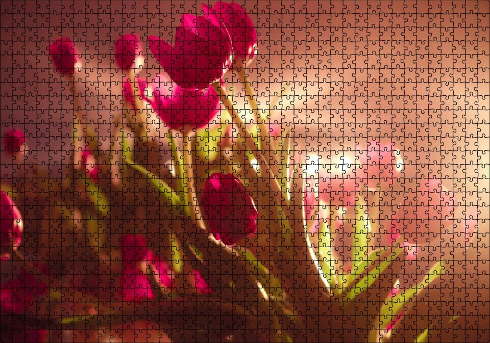 Kırmızı Laleler ve Güneş Işıkları Puzzle Yapboz MDF Ahşap 1000 Parça 49 cm X 68 cm