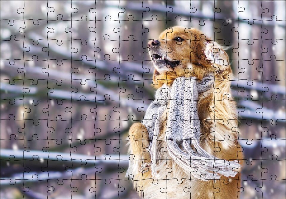 Atkılı Köpek Puzzle Yapboz MDF Ahşap 120 Parça 24 cm X 34 cm