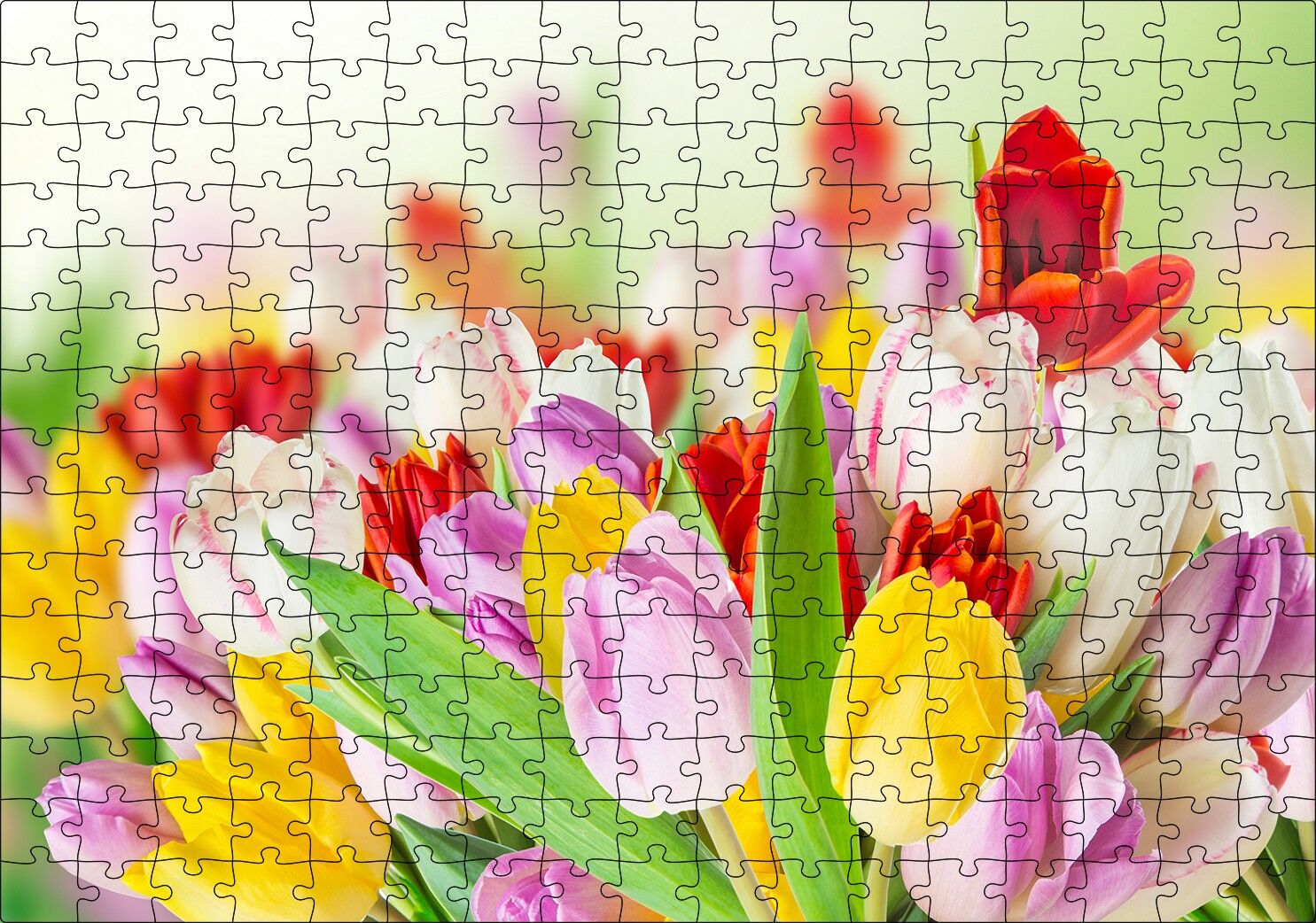 Renkli Laleler Görseli Puzzle Yapboz MDF Ahşap 255 Parça 34 cm X 49 cm