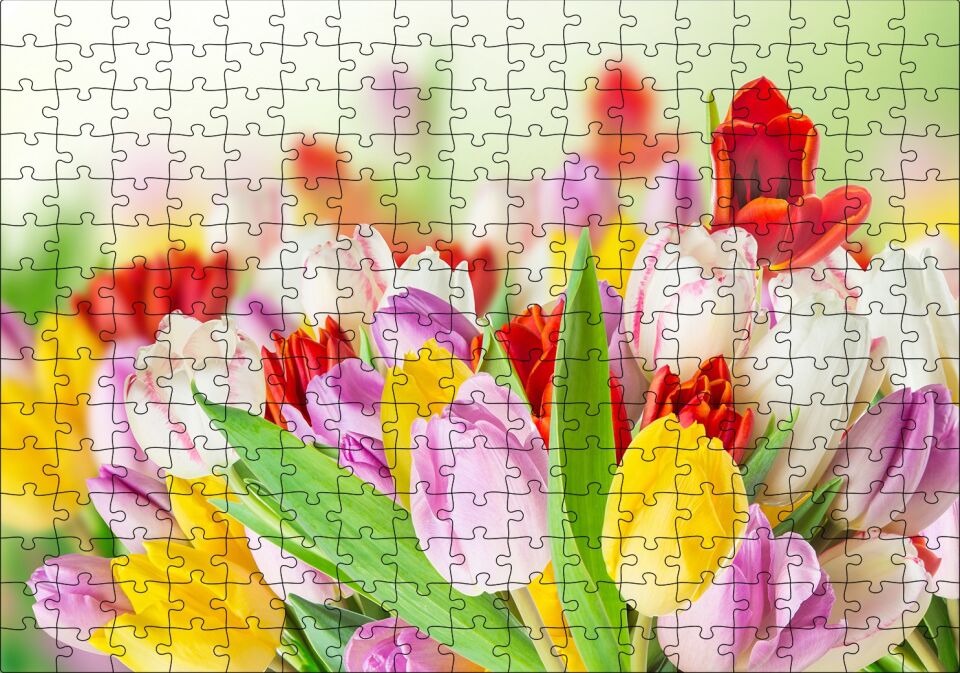 Renkli Laleler Görseli Puzzle Yapboz MDF Ahşap 255 Parça 34 cm X 49 cm