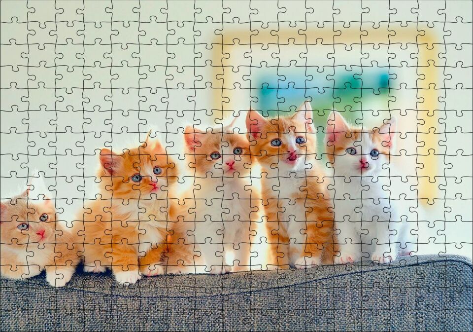 Koltukta Sarı Beyaz Yavru Kediler Puzzle Yapboz MDF Ahşap 255 Parça 34 cm X 49 cm