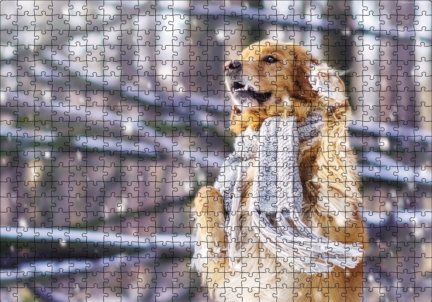 Atkılı Köpek Puzzle Yapboz MDF Ahşap 500 Parça 49 cm X 68 cm