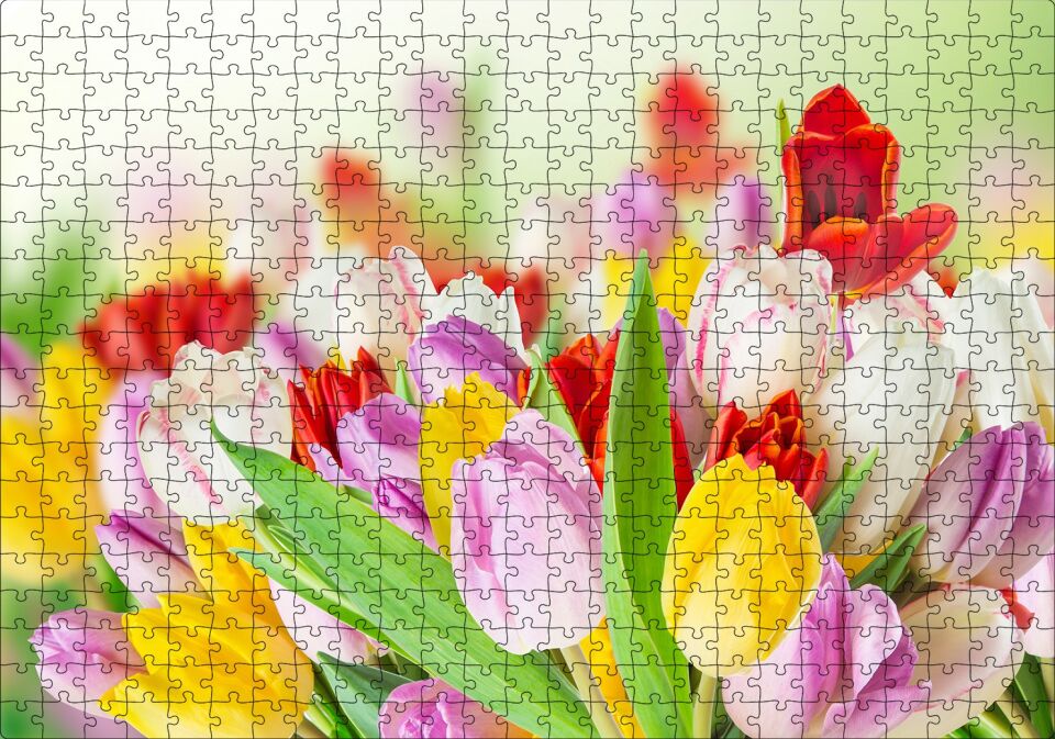 Renkli Laleler Görseli Puzzle Yapboz MDF Ahşap 500 Parça 49 cm X 68 cm