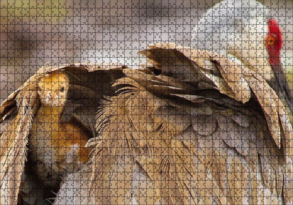 Akbaba Kanatları Arasında Yavrusu Puzzle Yapboz MDF Ahşap 1000 Parça 49 cm X 68 cm