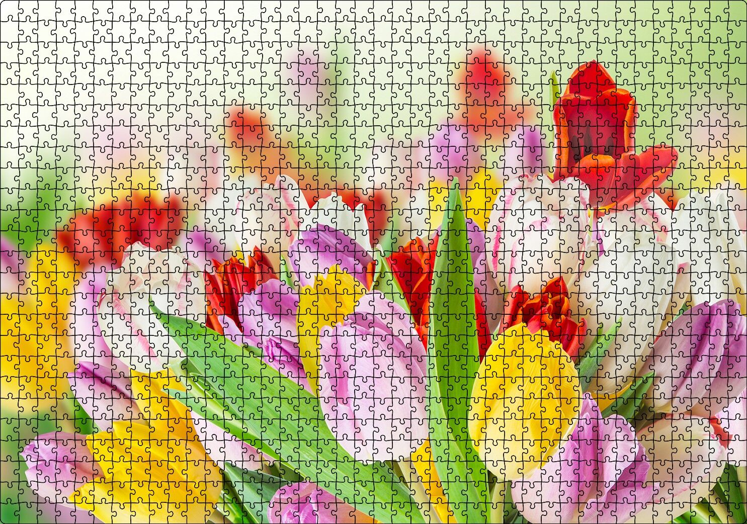 Renkli Laleler Görseli Puzzle Yapboz MDF Ahşap 1000 Parça 49 cm X 68 cm