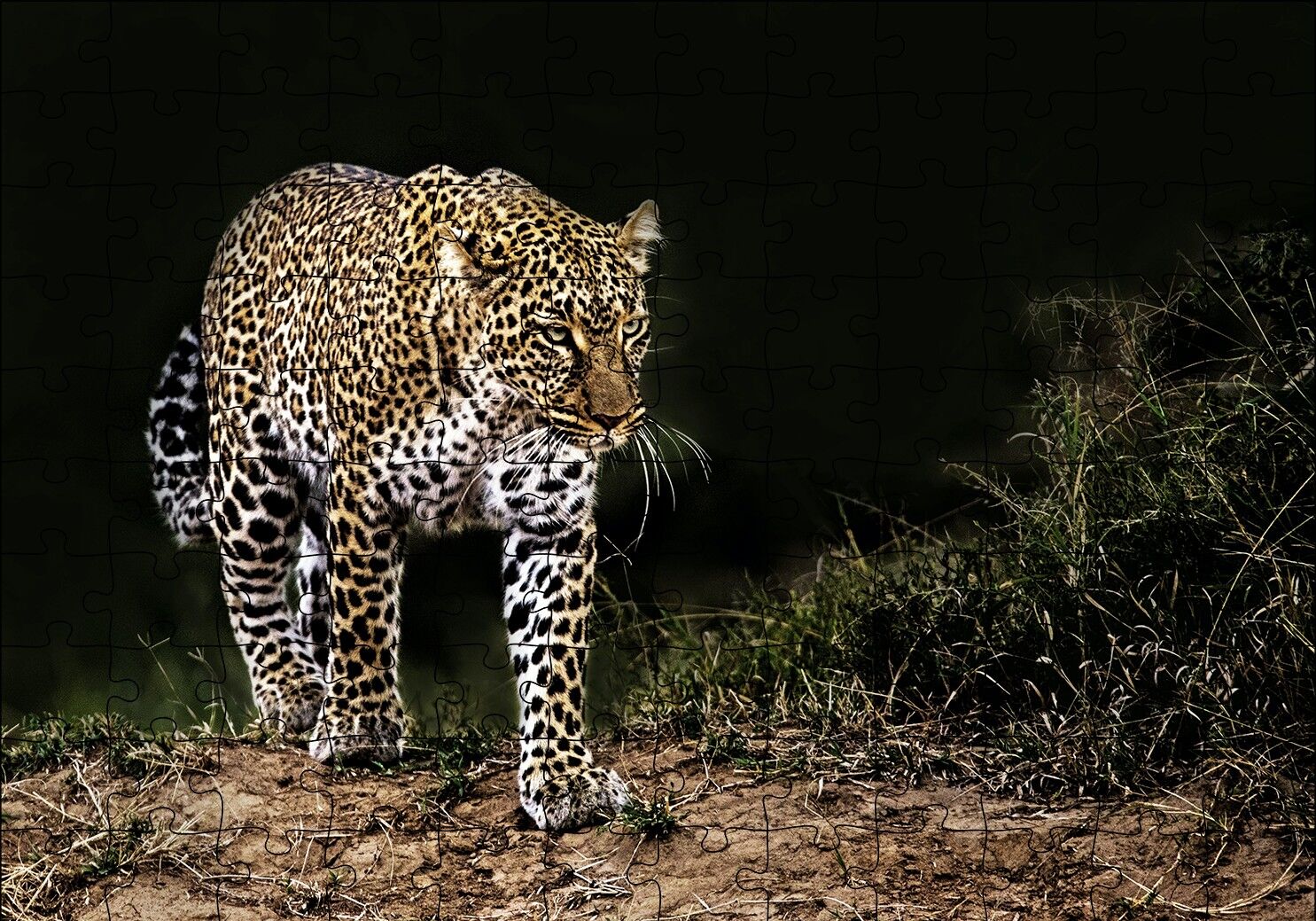 Karanlıktaki Java Leoparı Puzzle Yapboz MDF Ahşap 120 Parça 24 cm X 34 cm