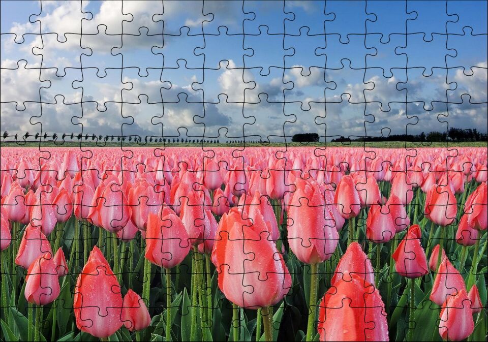 Pembe Lale Bahçesi Görseli Puzzle Yapboz MDF Ahşap