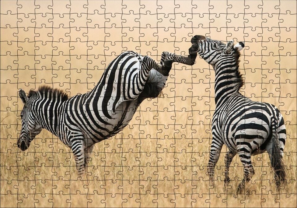 Zebranın Tehlikeli Tekmesi Puzzle Yapboz MDF Ahşap 255 Parça 34 cm X 49 cm