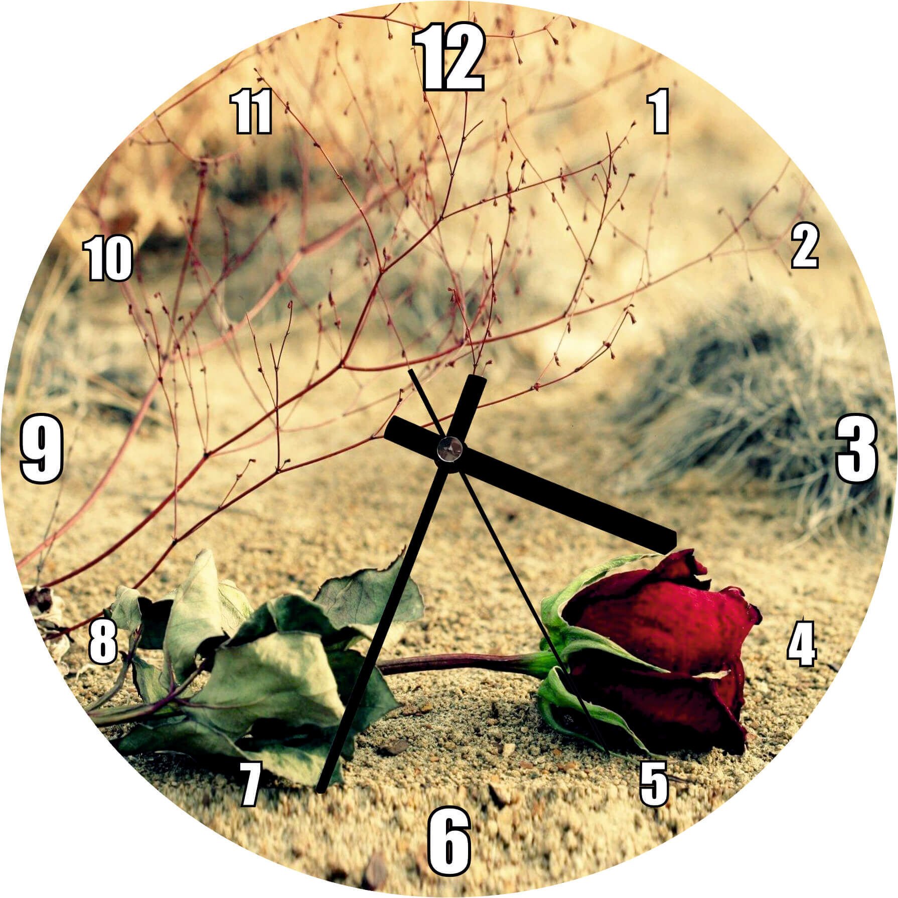 Kurak Toprak ve Solan Kırmızı Gül Mdf Ahşap Duvar Saati