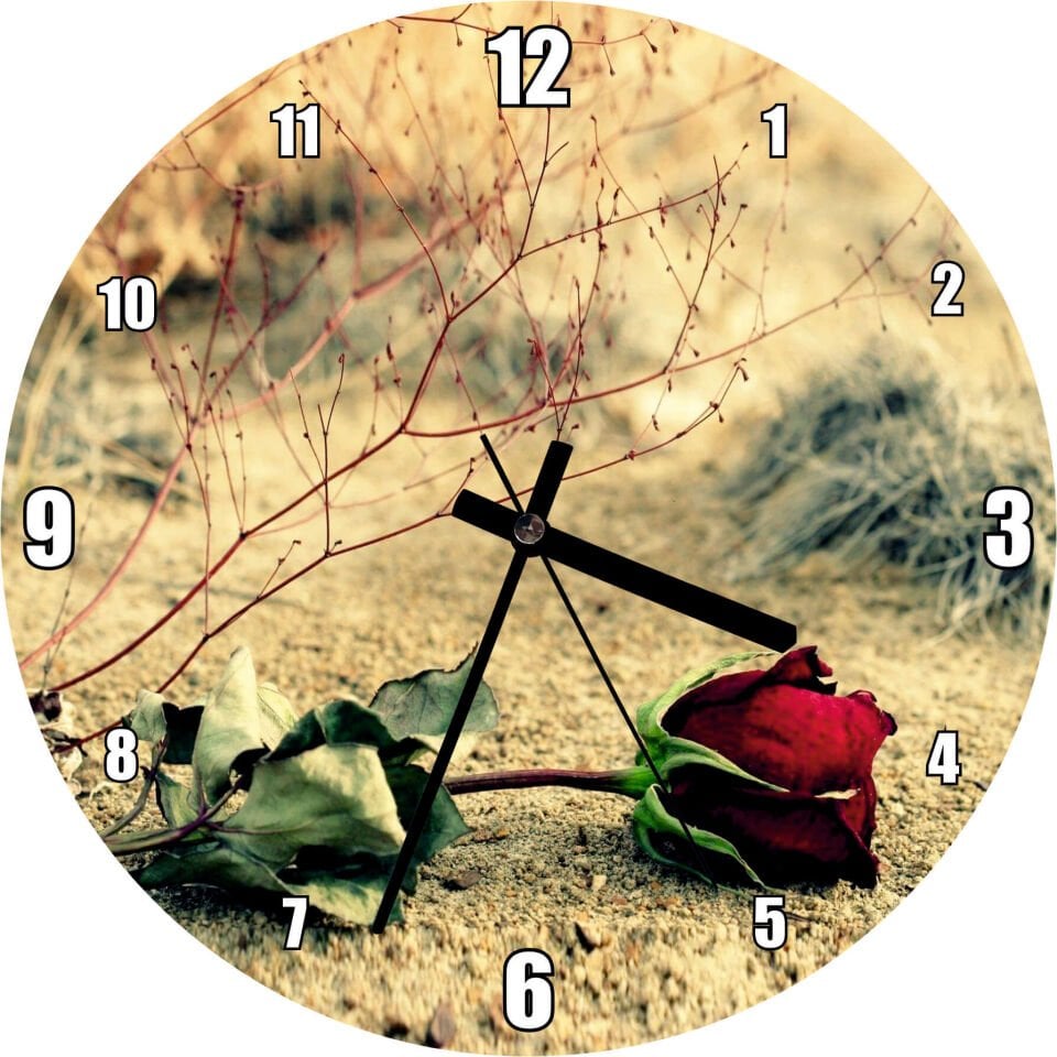 Kurak Toprak ve Solan Kırmızı Gül Mdf Ahşap Duvar Saati