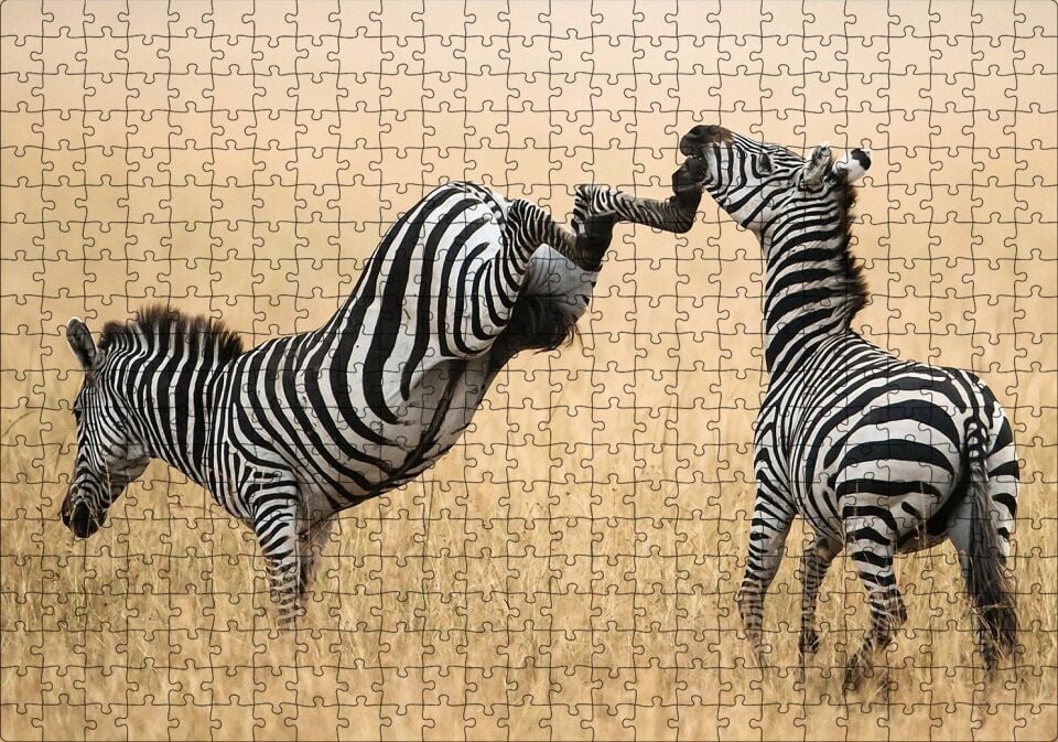 Zebranın Tehlikeli Tekmesi Puzzle Yapboz MDF Ahşap 500 Parça 49 cm X 68 cm
