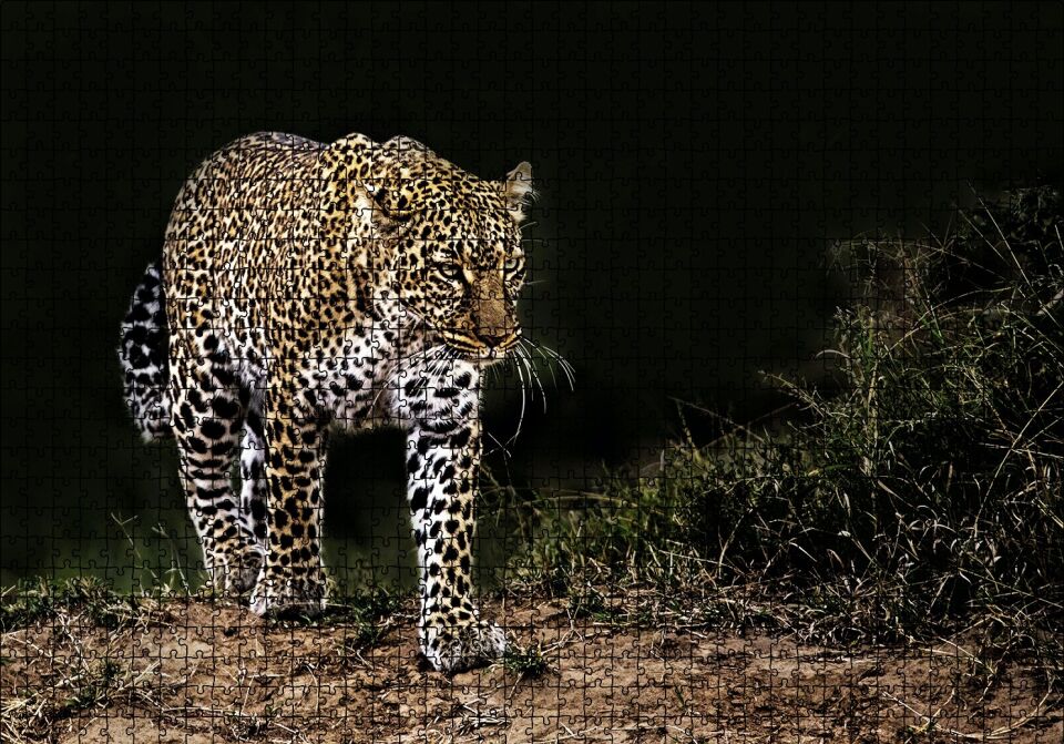Karanlıktaki Java Leoparı Puzzle Yapboz MDF Ahşap 1000 Parça 49 cm X 68 cm