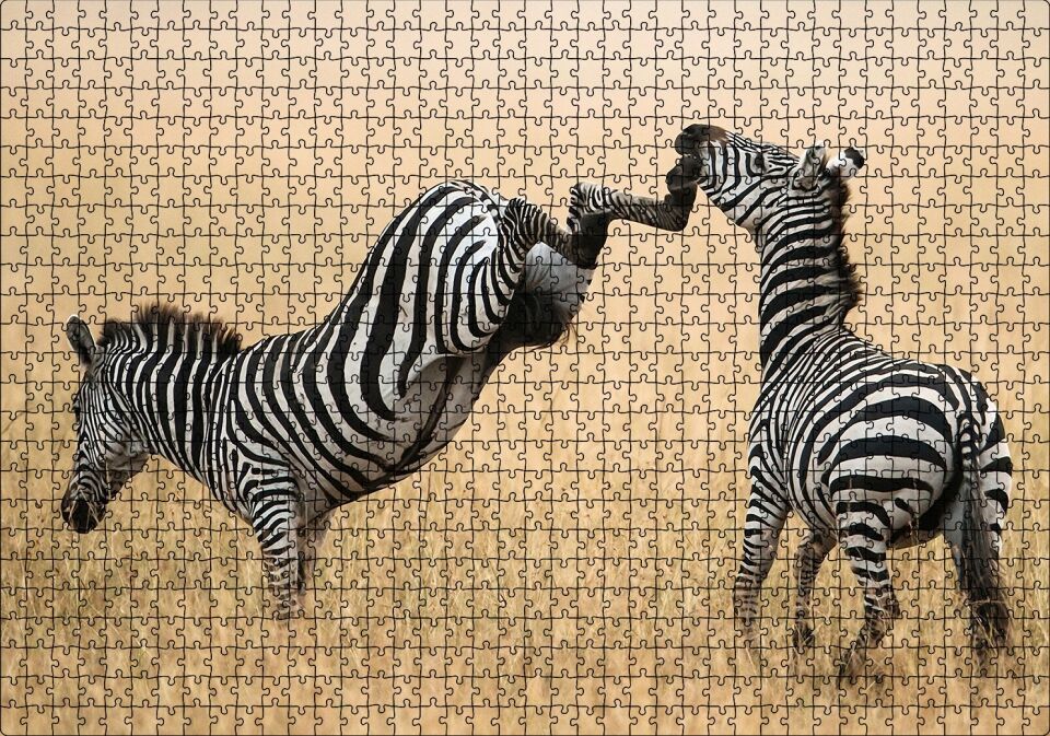Zebranın Tehlikeli Tekmesi Puzzle Yapboz MDF Ahşap 1000 Parça 49 cm X 68 cm