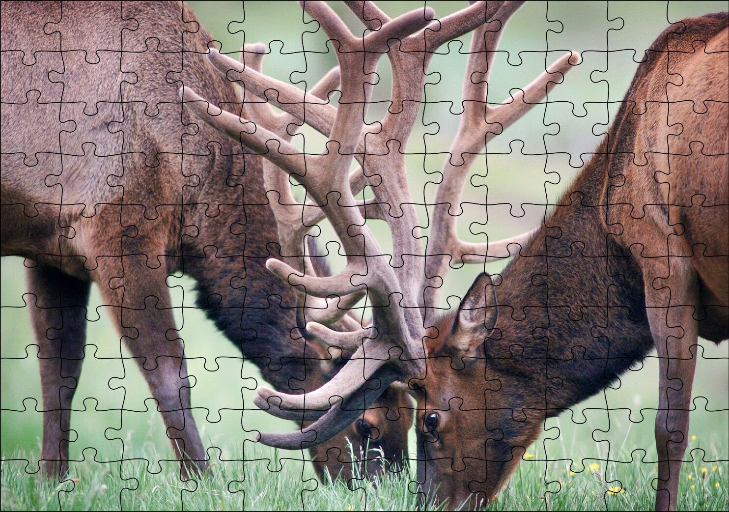 Yeşil Çayırda Otlayan Boynuzlu Geyikler Puzzle Yapboz MDF Ahşap 120 Parça 24 cm X 34 cm