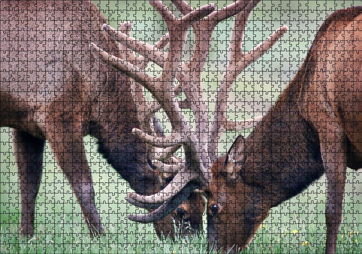 Yeşil Çayırda Otlayan Boynuzlu Geyikler Puzzle Yapboz MDF Ahşap 1000 Parça 49 cm X 68 cm
