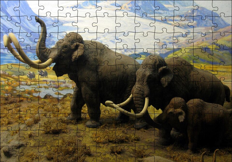 Kuzey Amerika Mamutları İllüstrasyon Puzzle Yapboz MDF Ahşap