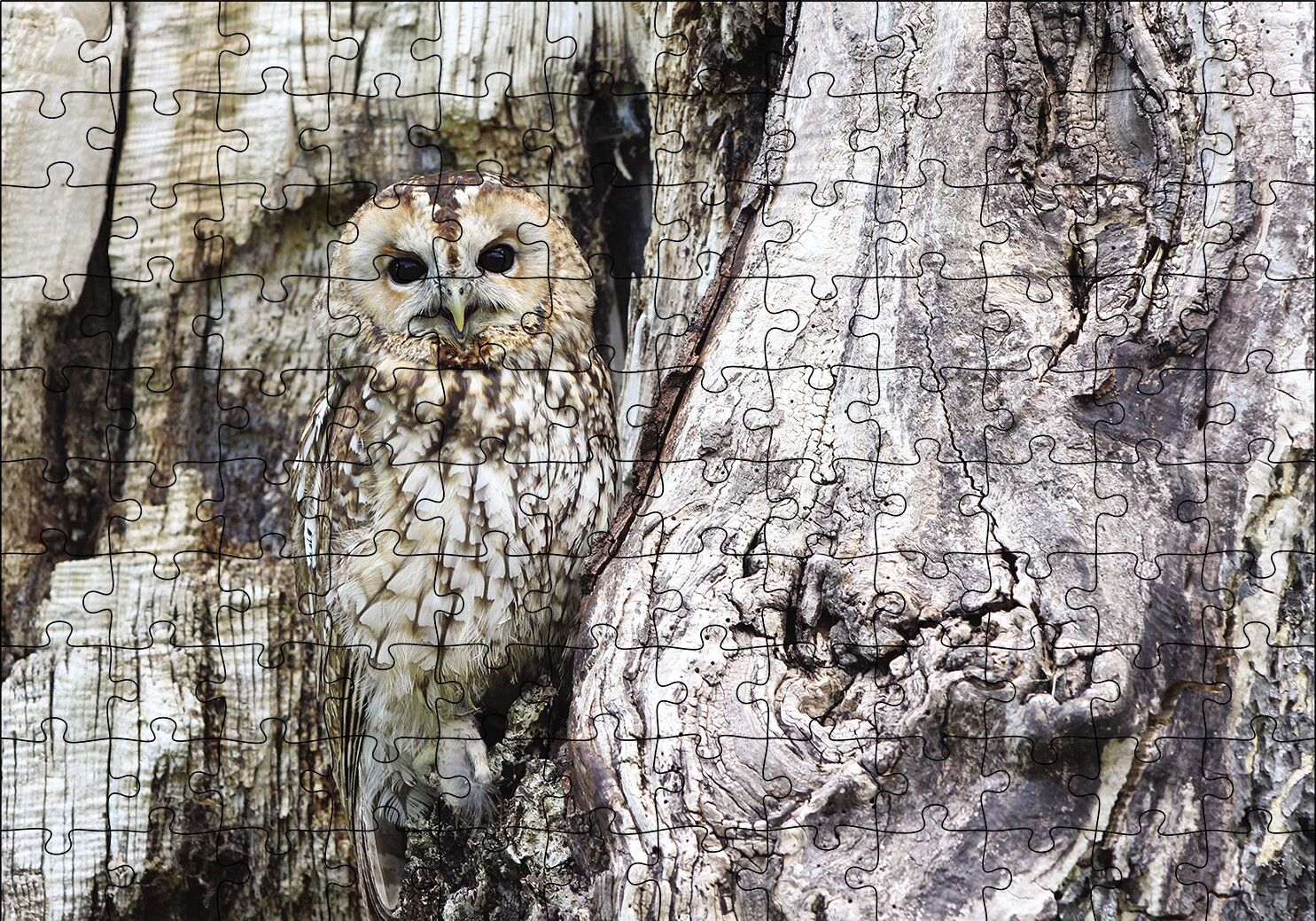 Kamufle Baykuş Puzzle Yapboz MDF Ahşap 120 Parça 24 cm X 34 cm