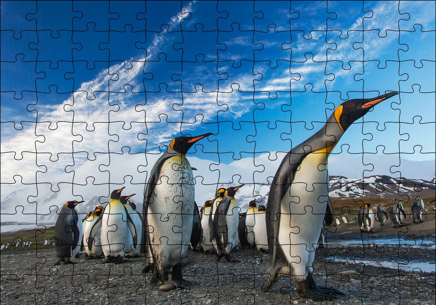 Karlı Topraklar ve Penguenler Puzzle Yapboz MDF Ahşap 120 Parça 24 cm X 34 cm
