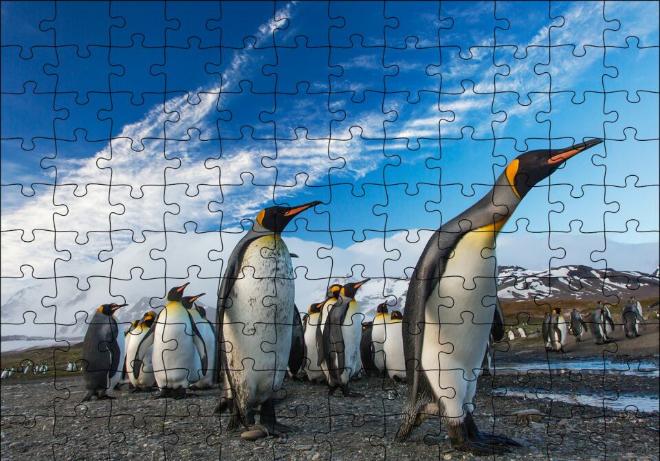 Karlı Topraklar ve Penguenler Puzzle Yapboz MDF Ahşap 120 Parça 24 cm X 34 cm