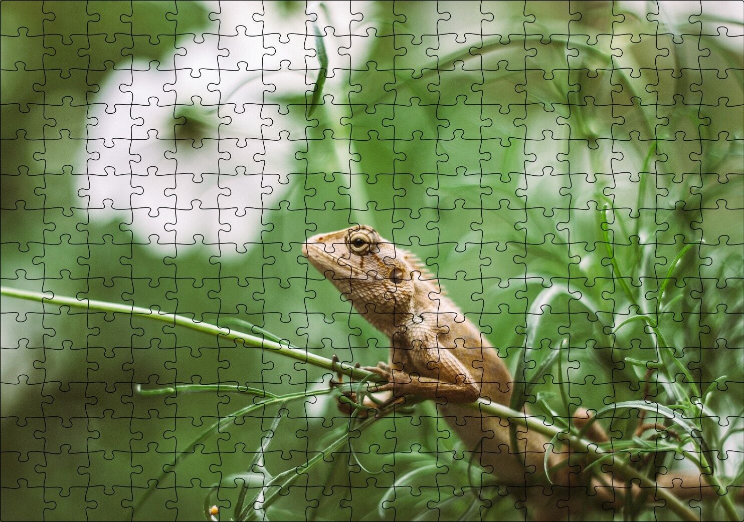 Yeşil Dallar Arasındaki İguana Flu Arka Plan Puzzle Yapboz MDF Ahşap 255 Parça 34 cm X 49 cm
