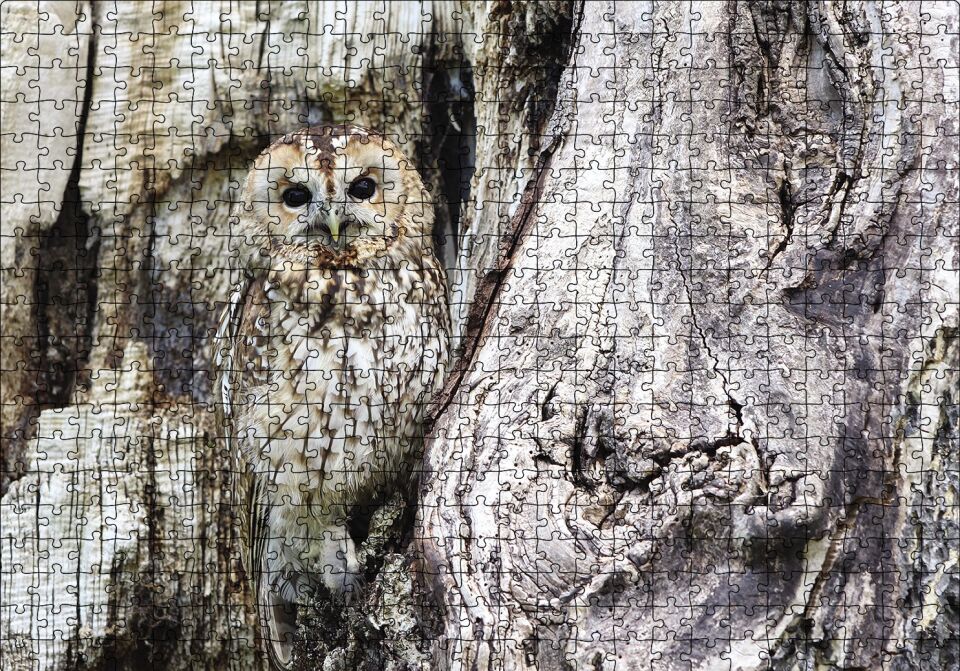 Kamufle Baykuş Puzzle Yapboz MDF Ahşap 500 Parça 49 cm X 68 cm