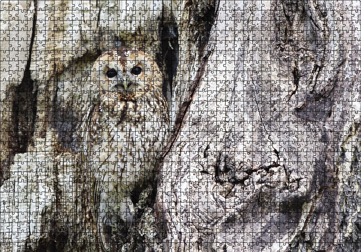 Kamufle Baykuş Puzzle Yapboz MDF Ahşap 1000 Parça 49 cm X 68 cm