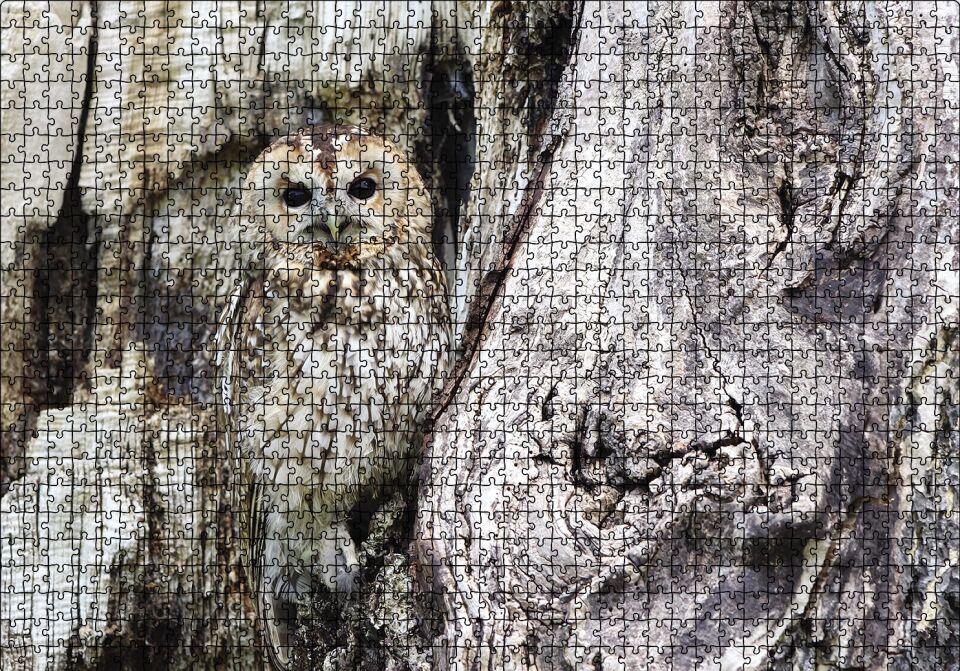 Kamufle Baykuş Puzzle Yapboz MDF Ahşap 1000 Parça 49 cm X 68 cm
