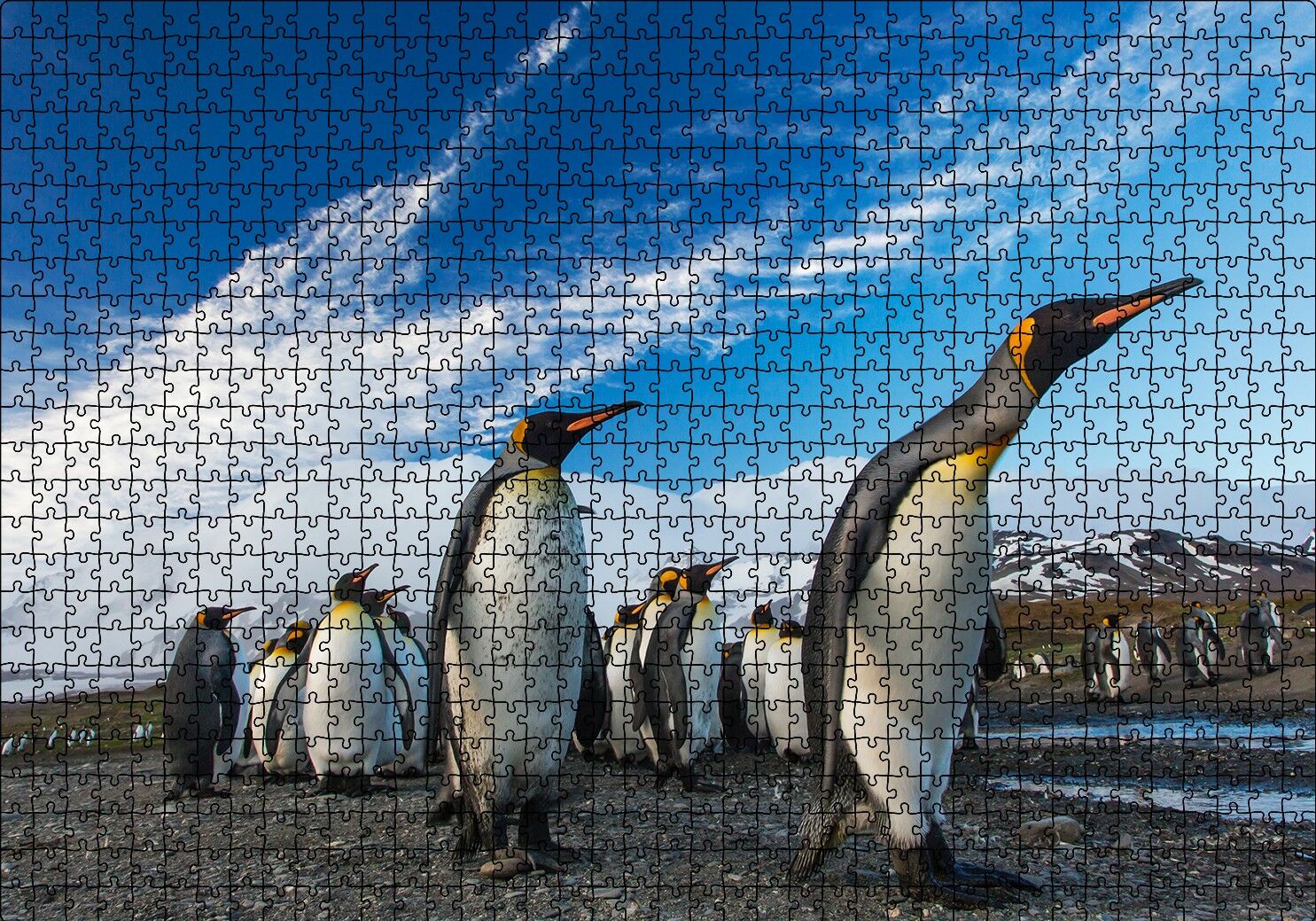 Karlı Topraklar ve Penguenler Puzzle Yapboz MDF Ahşap 1000 Parça 49 cm X 68 cm