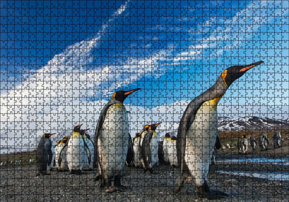 Karlı Topraklar ve Penguenler Puzzle Yapboz MDF Ahşap 1000 Parça 49 cm X 68 cm