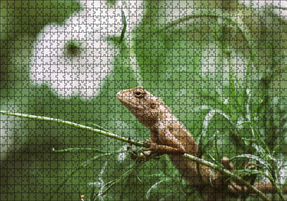 Yeşil Dallar Arasındaki İguana Flu Arka Plan Puzzle Yapboz MDF Ahşap 1000 Parça 49 cm X 68 cm