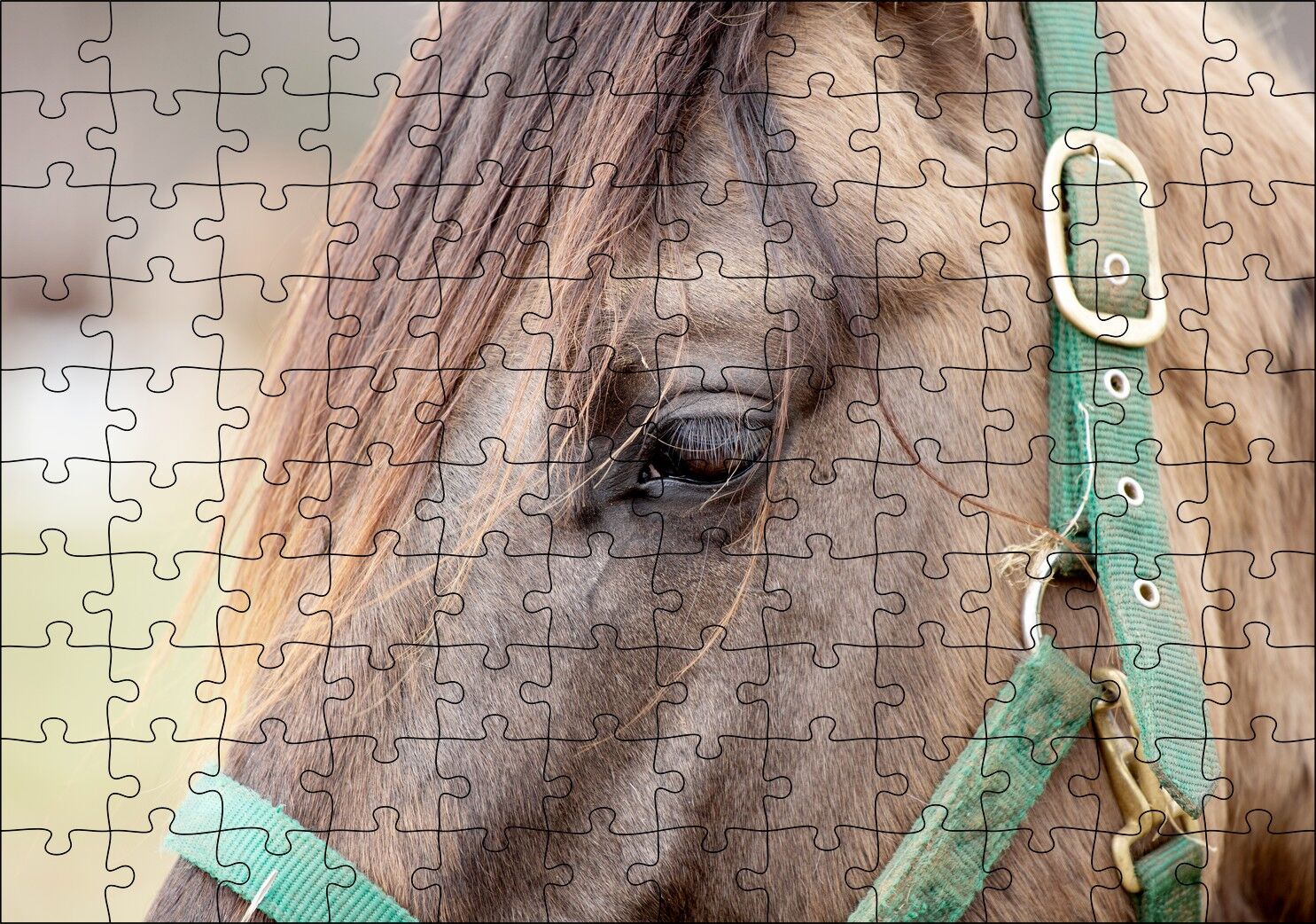 Yeşil Koşumlu Kahverengi At Yakın Çekim Puzzle Yapboz MDF Ahşap 120 Parça 24 cm X 34 cm