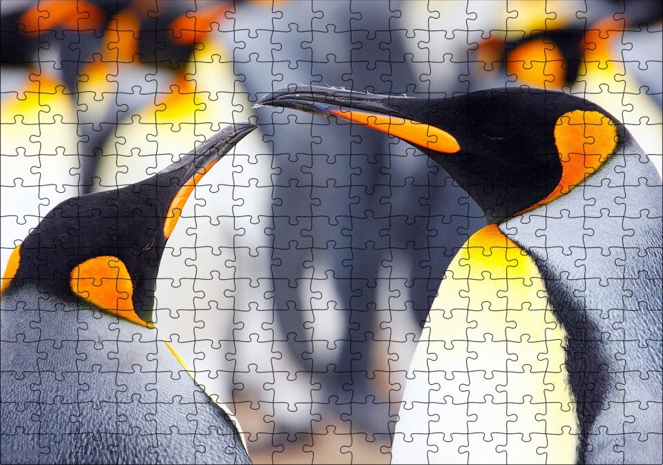 Kral Penguenler Puzzle Yapboz MDF Ahşap 255 Parça 34 cm X 49 cm