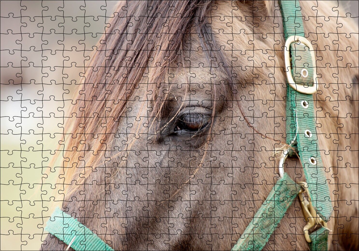 Yeşil Koşumlu Kahverengi At Yakın Çekim Puzzle Yapboz MDF Ahşap 255 Parça 34 cm X 49 cm
