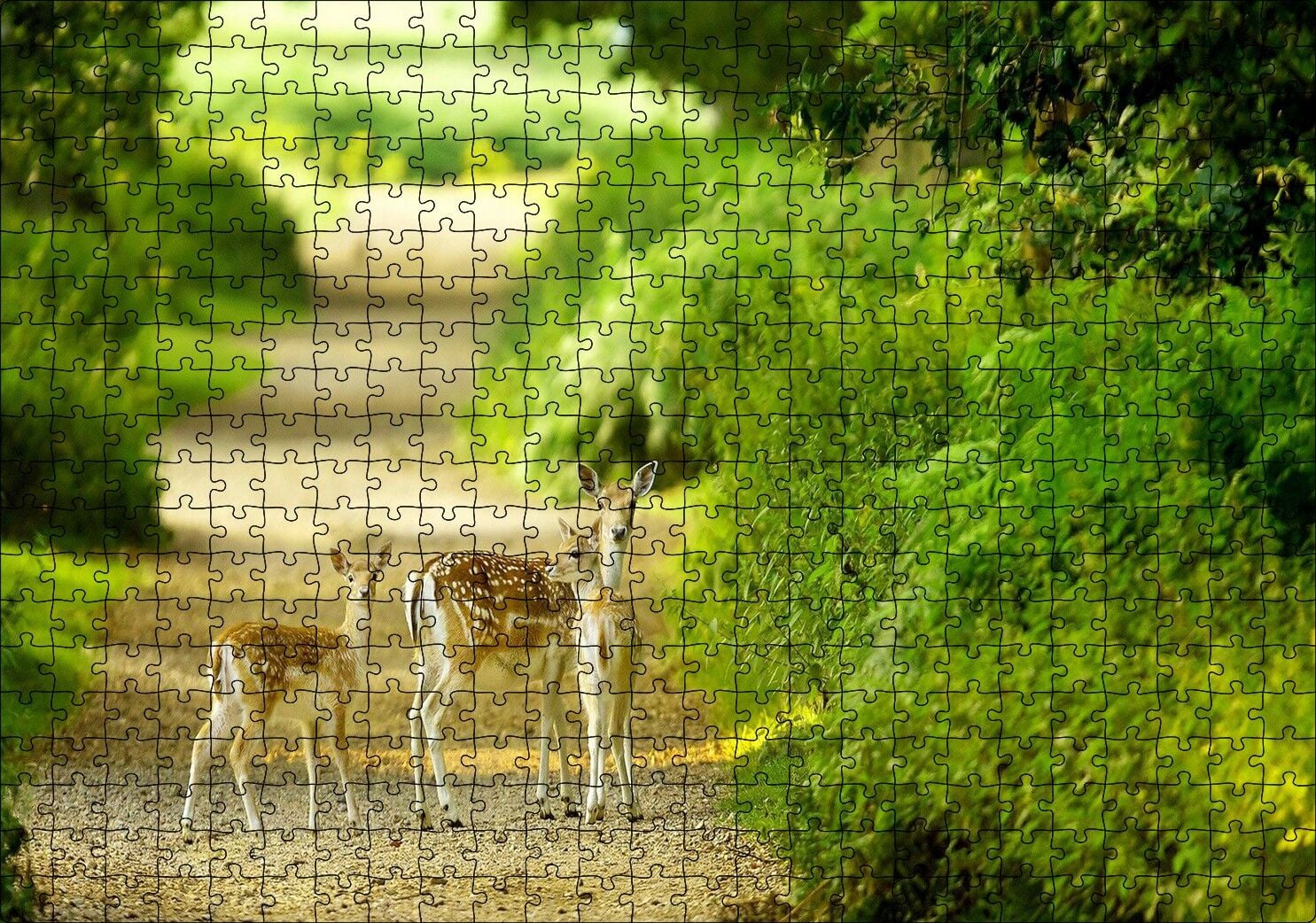 Orman Patikasında Anne Ceylan ve Yavruları Puzzle Yapboz MDF Ahşap 500 Parça 49 cm X 68 cm