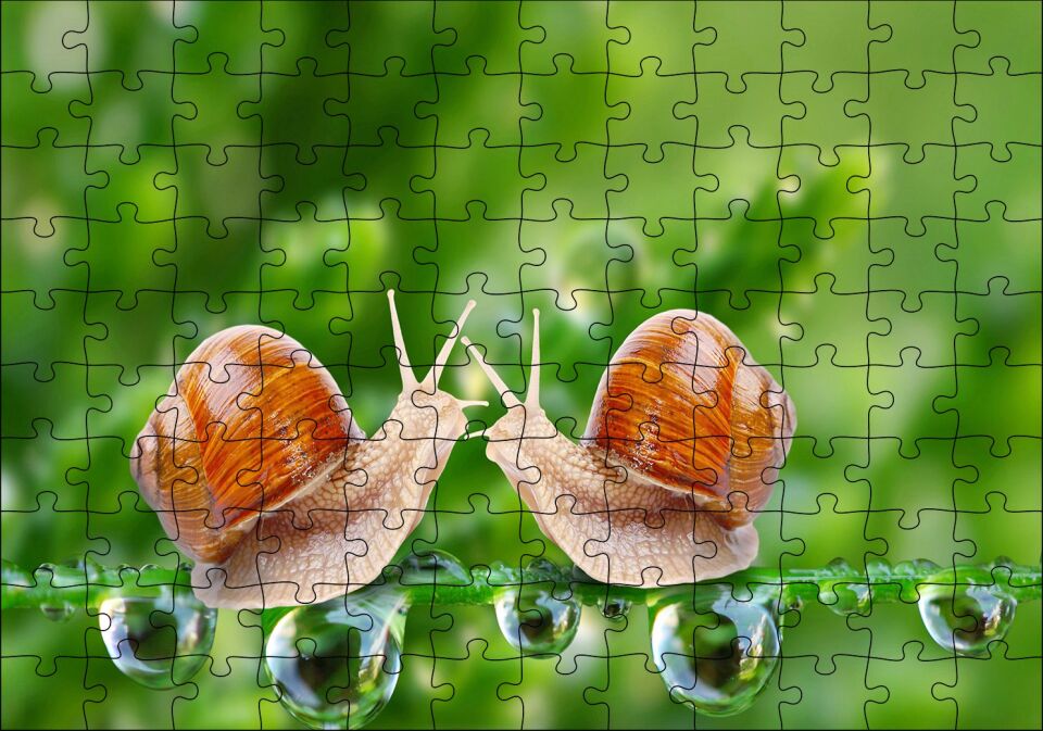Salyangozlar Karşılaşması Yeşil Damlacıkları Görseli Puzzle Yapboz MDF Ahşap