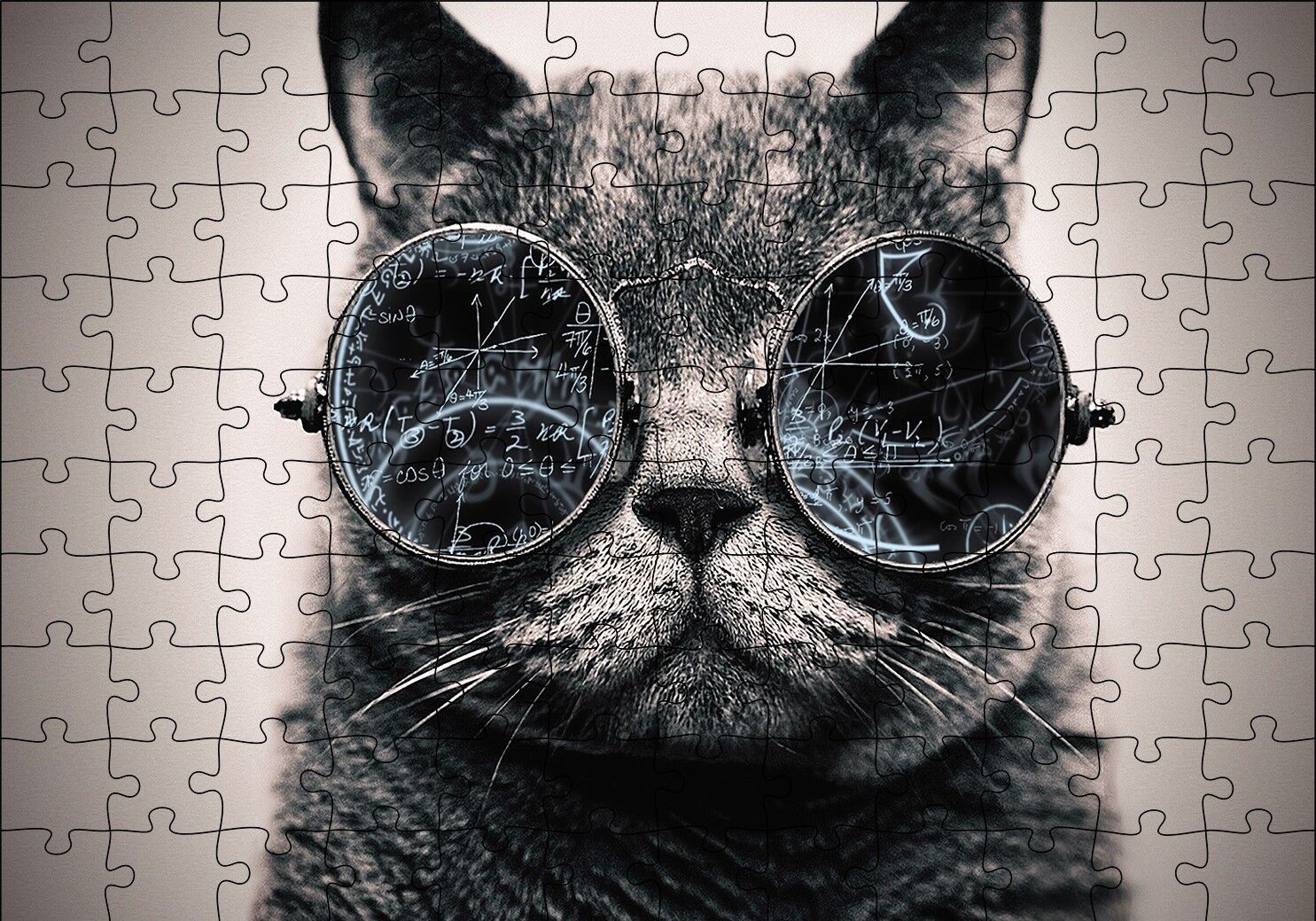 Matematik İşlemli Gözlüklü Kedi Puzzle Yapboz MDF Ahşap