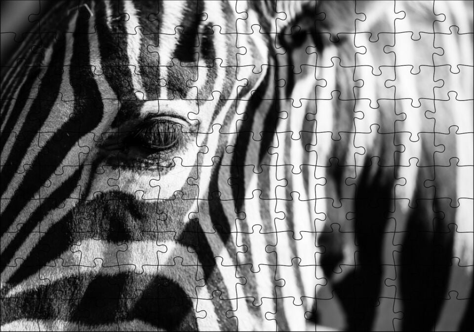 Zebra Yakın Çekim Siyah Beyaz Puzzle Yapboz MDF Ahşap