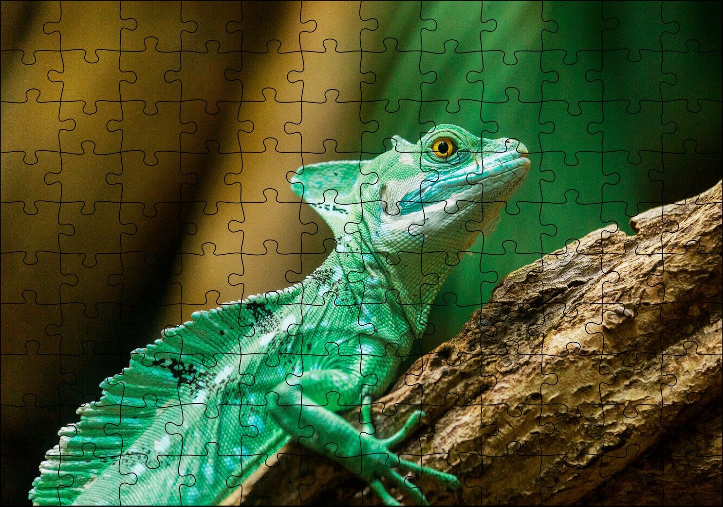 Kahverengi Dal Üzerinde Yeşil Kertenkele Yakın Çekim Puzzle Yapboz MDF Ahşap 120 Parça 24 cm X 34 cm
