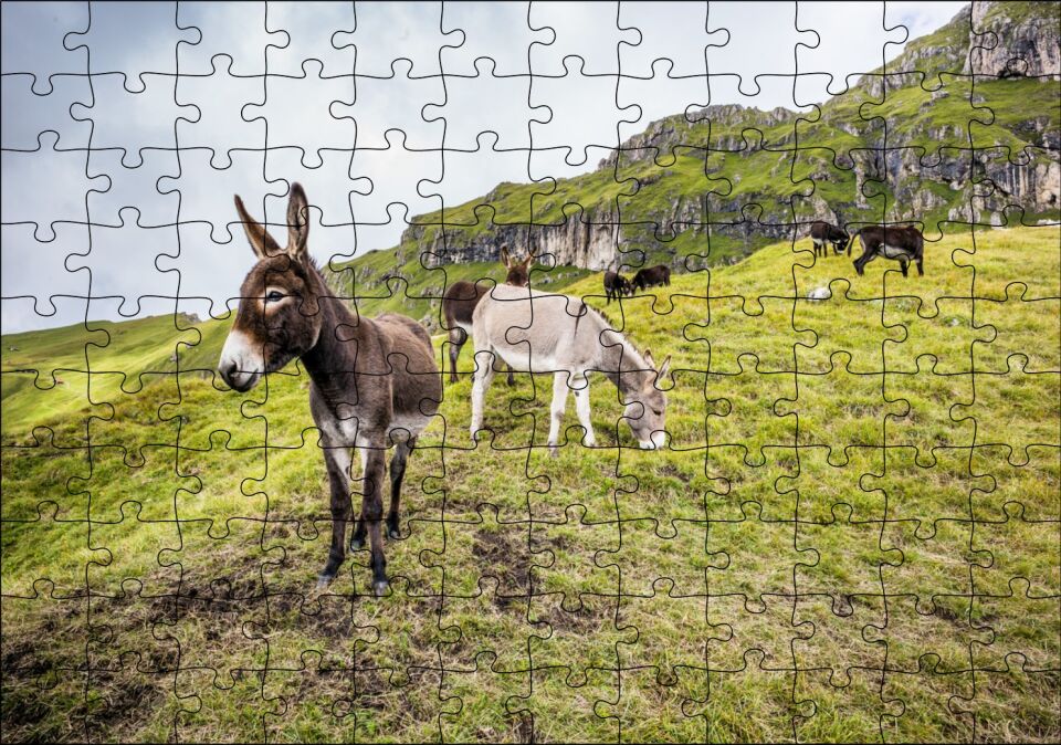 Yeşil Tepelerde Otlayan Eşekler Puzzle Yapboz MDF Ahşap 120 Parça 24 cm X 34 cm