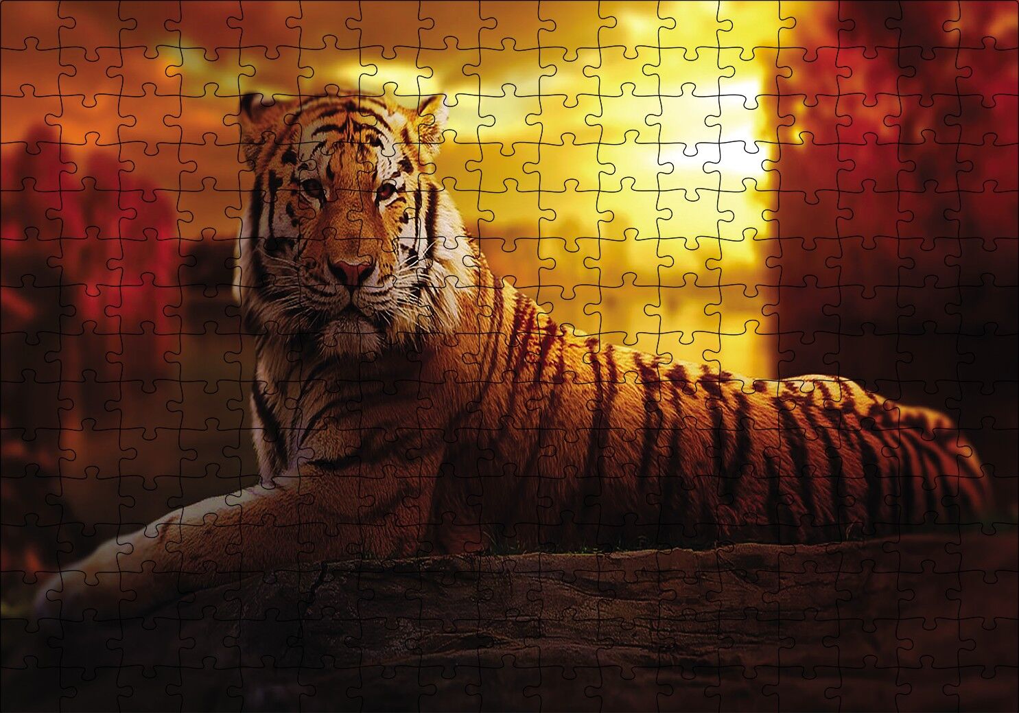 Günbatımında Kaplan Puzzle Yapboz MDF Ahşap 255 Parça 34 cm X 49 cm